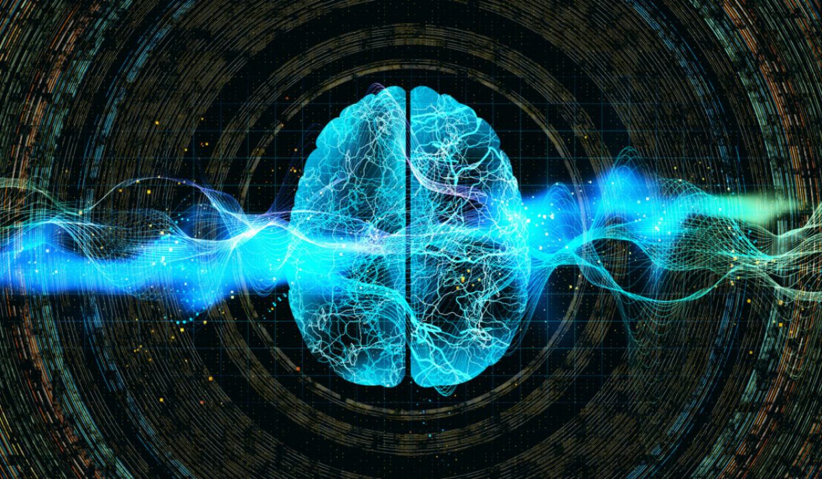 Digital brain illustration representing the nervous system and its role in stress relief